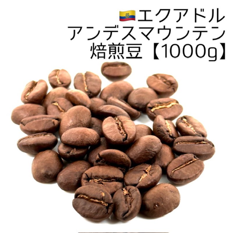画像1: 《焙煎豆1000g》エクアドル・アンデスマウンテン (1)