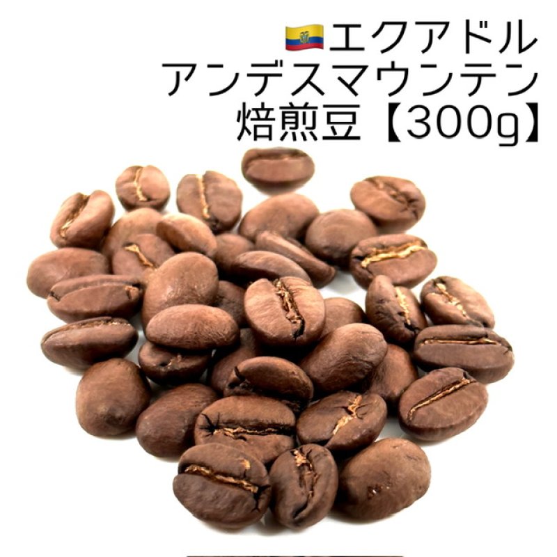 画像1: 《焙煎豆300g》エクアドル・アンデスマウンテン (1)