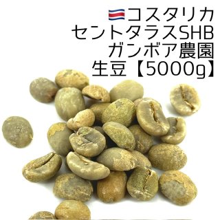 爆安!!【コーヒー生豆】マンデリンG1 インドネシア 5kg ※送料無料 爆安!!【コーヒー生豆】マンデリンG1 インドネシア 5kg ※送料