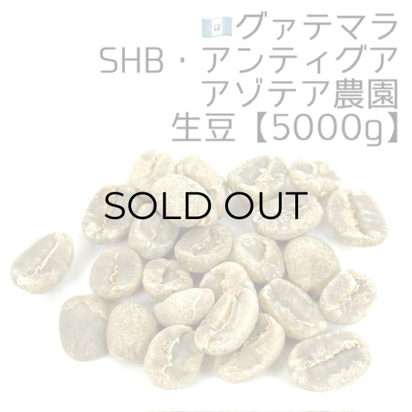 画像1: 【生豆5000g】グァテマラSHB・アンティグア・アゾテア農園 (1)