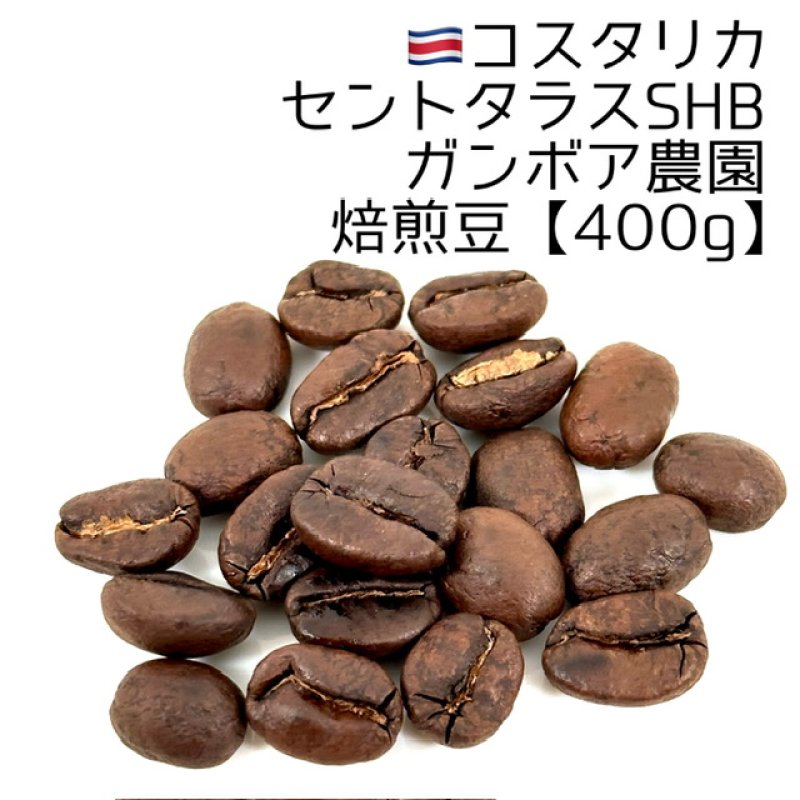 画像1: 《焙煎豆400g》コスタリカ・セントタラスSHBガンボア農園 (1)