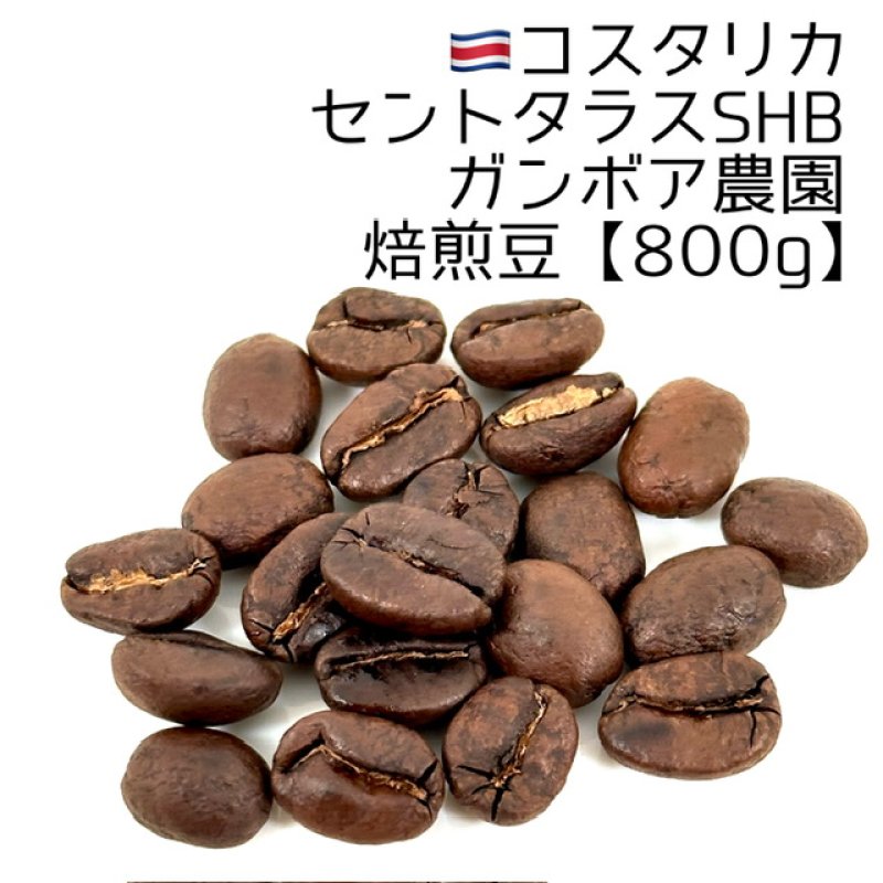 画像1: 《焙煎豆800g》コスタリカ・セントタラスSHBガンボア農園 (1)