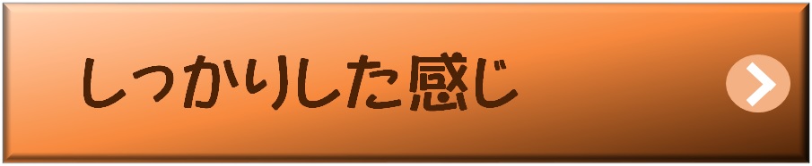 しっかりした感じ