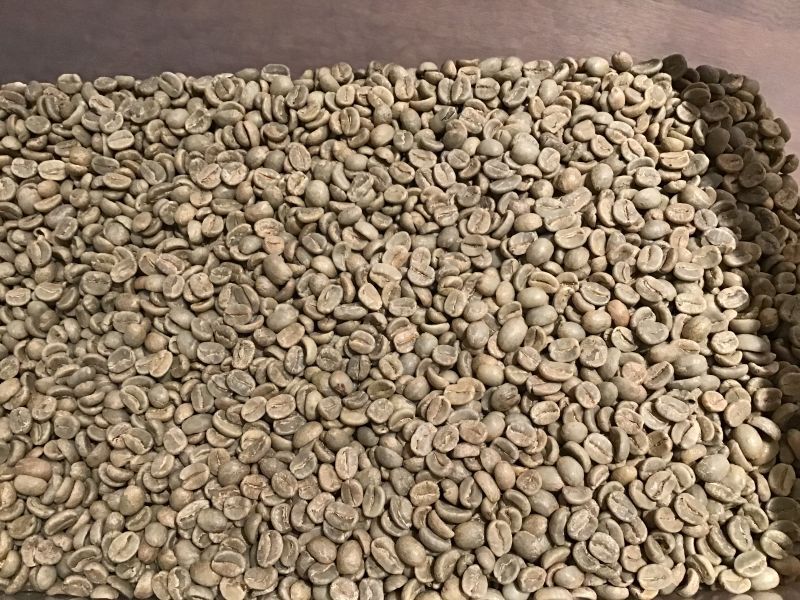 生豆800g】グアテマラ・ファンシーサンタロッサSHB 煎りたてハマ珈琲 グアテマラ ファンシーサンタロッサ SHB 生豆900g